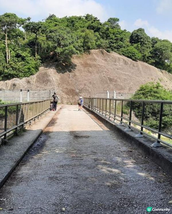 【金山郊野公園行山篇】連走四水塘➕金山及山火瞭望台