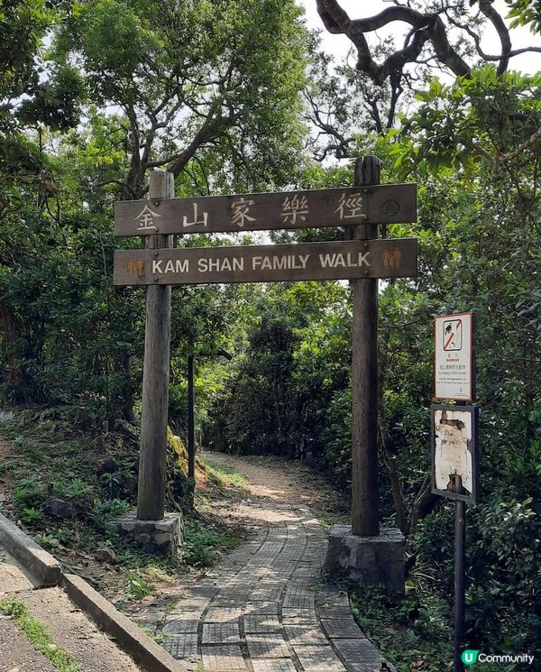 【金山郊野公園行山篇】連走四水塘➕金山及山火瞭望台