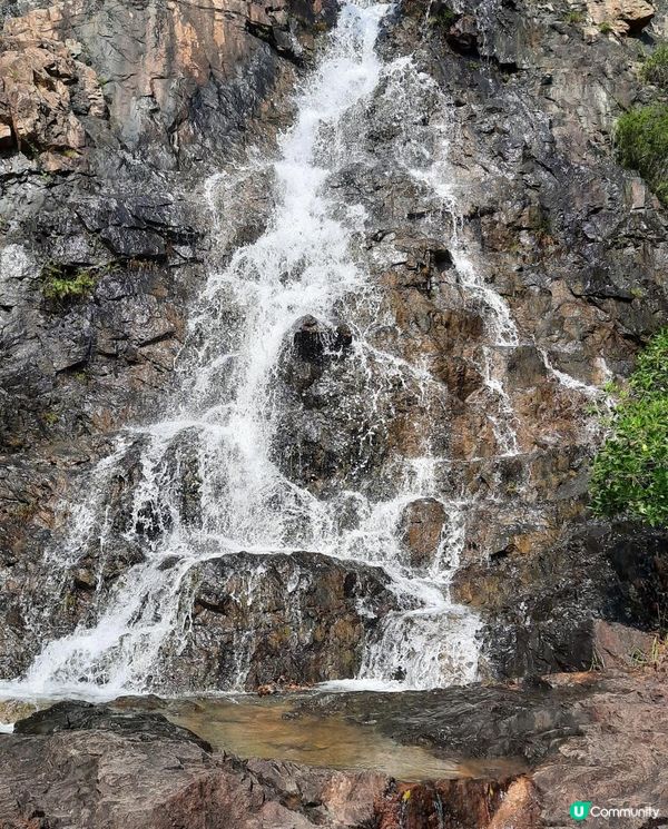 【金山郊野公園行山篇】連走四水塘➕金山及山火瞭望台