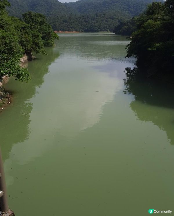 【金山郊野公園行山篇】連走四水塘➕金山及山火瞭望台