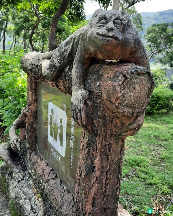 【金山郊野公園行山篇】連走四水塘➕金山及山火瞭望台