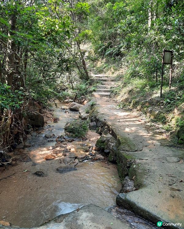 【金山郊野公園行山篇】連走四水塘➕金山及山火瞭望台