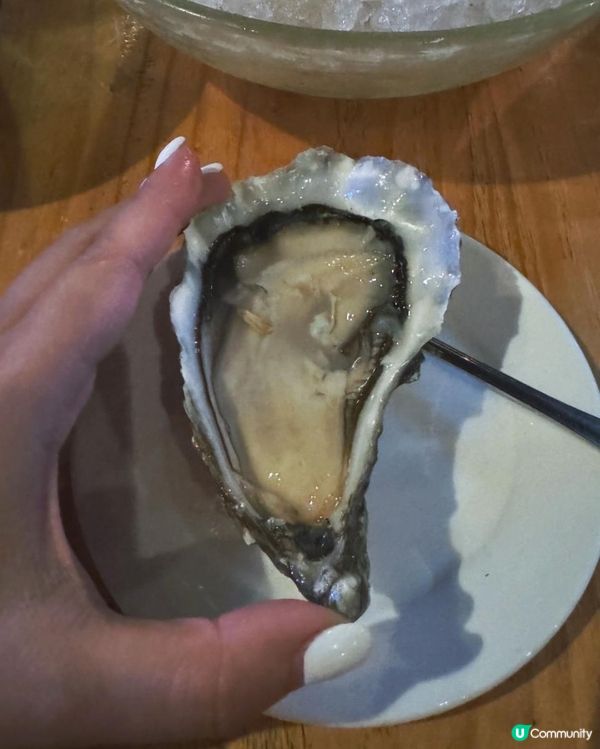 香港生蠔🦪界的天花板