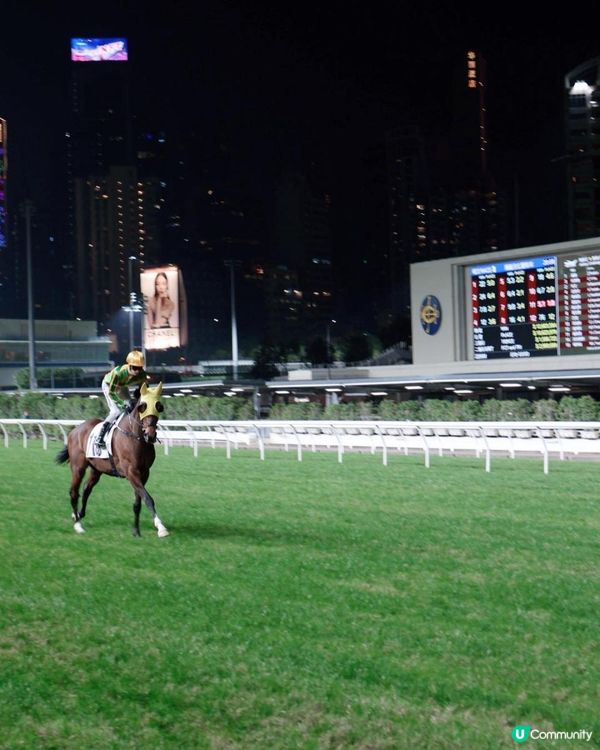 新年好去處-🐎馬場行大運