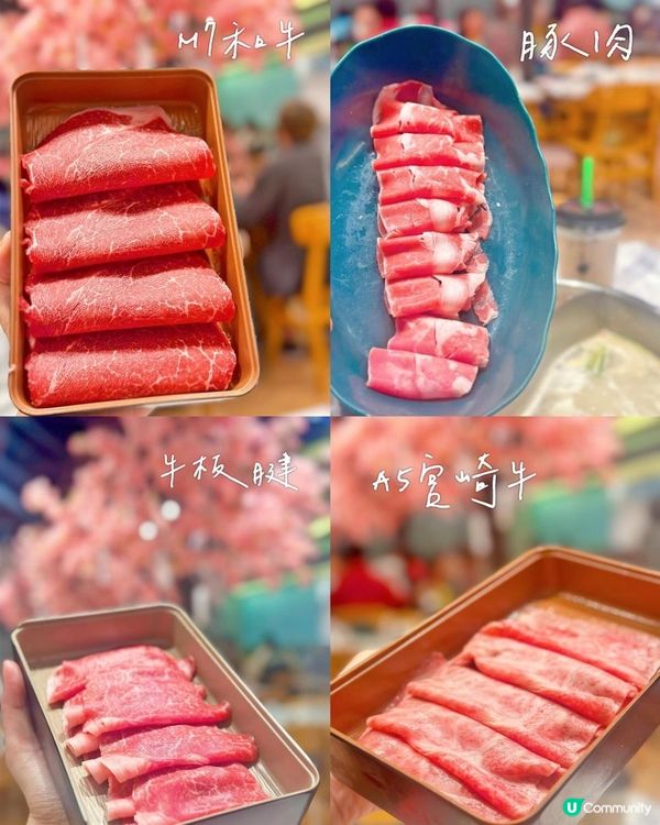 櫻花樹🌸下台式火鍋~任食 M7和牛同A5宮崎牛120分鐘自助火鍋