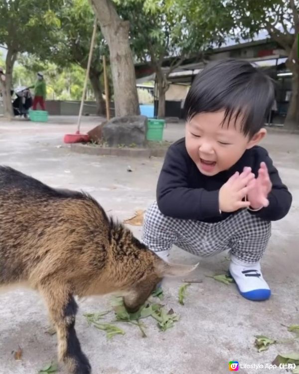 MY BOY👶🏻20個月快樂🔅圍爐煮茶