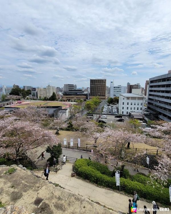 Day 19: 向東遊静岡県 但不是這樣去東京