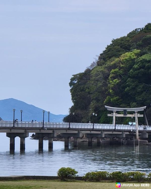 Day 19: 向東遊静岡県 但不是這樣去東京