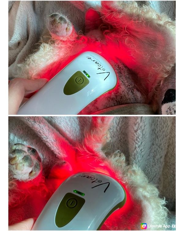 家用寵物護理光療儀Photizo Vetcare