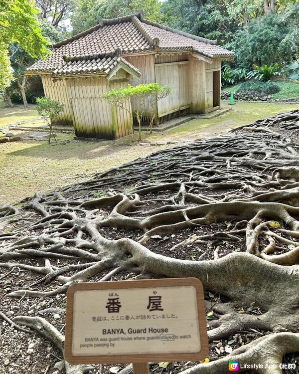 🐆豹紋魚🐟2023沖繩自駕遊｜南部景點：識名園、Ashibinaa Outlet、系滿魚市場 (海鮮食堂金槍魚解體表演)