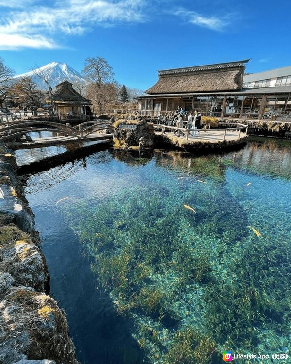 【日本自由行2023】大阪東京必去景點/美食推薦！富士山下祕境 / 博多鐵鍋煎 / 人氣都市動物園 / 創意迴轉壽司