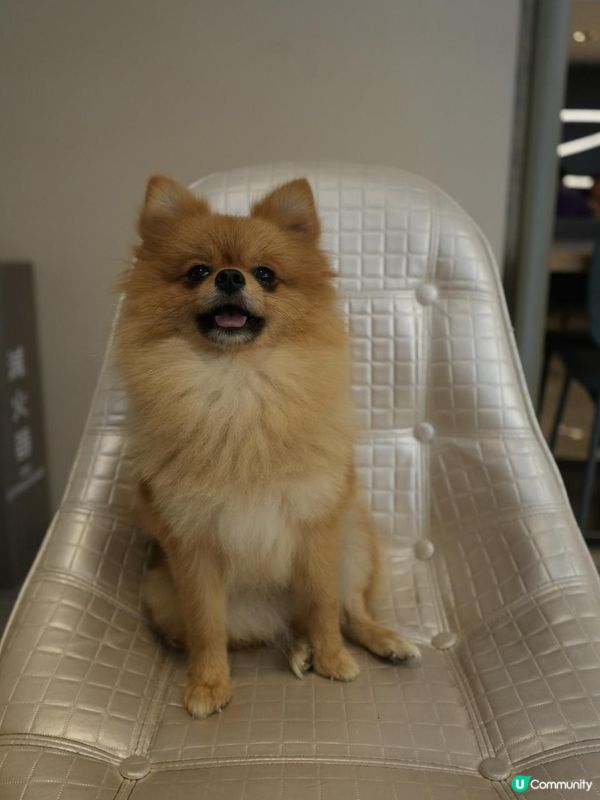 8月popo創作者分享