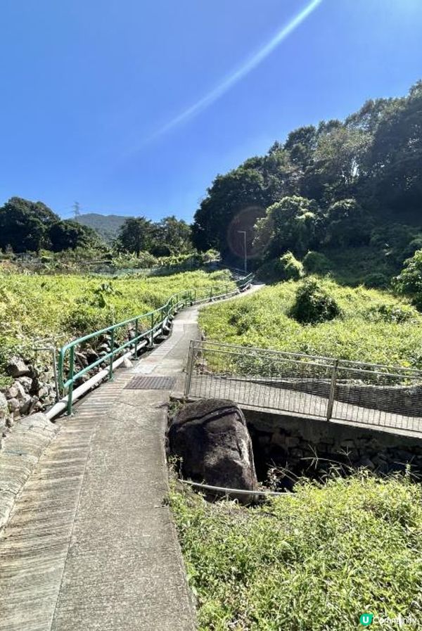 大埔行山｜梧桐寨瀑布群｜4小時中級遠足路線💦