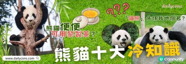 熊貓冷知識