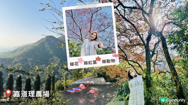 香港郊遊好去處