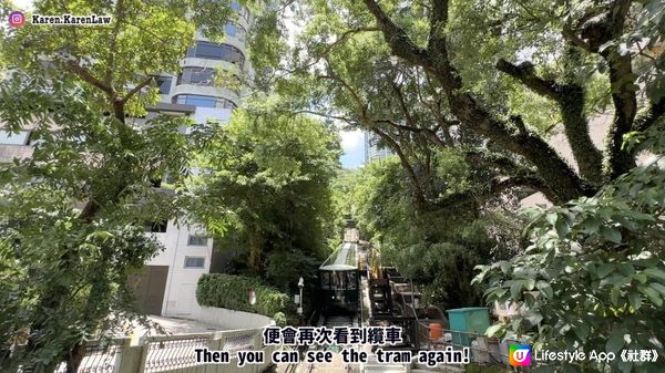 【香港郊遊好去處】BB班輕鬆去「港島打卡Hea路線」⁉️🤭9成平路·多樹蔭～3小時內完成，多打卡位！🥰｜港島寶雲道