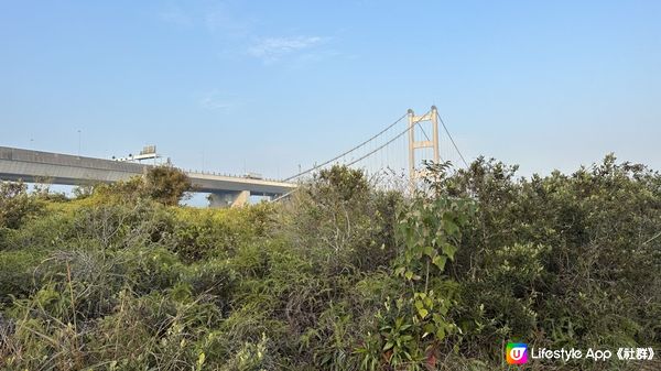 【馬灣行山】登上大嶺頭。飽覽青馬大橋、汲水門大橋和馬灣海峽一帶的景色。欣賞日落｜初級行山輕鬆路線兩小時內行完