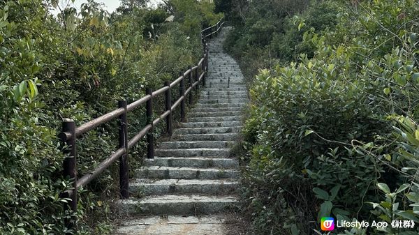 【馬灣行山】登上大嶺頭。飽覽青馬大橋、汲水門大橋和馬灣海峽一帶的景色。欣賞日落｜初級行山輕鬆路線兩小時內行完