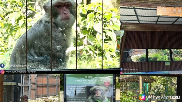 【香港好去處】 嘉道理農場｜睇花睇紅葉睇動物｜園內有多條行山路線選擇