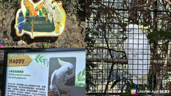 【香港好去處】 嘉道理農場｜睇花睇紅葉睇動物｜園內有多條行山路線選擇