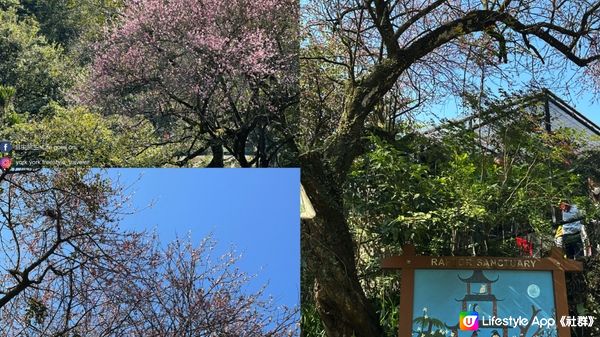 【香港好去處】 嘉道理農場｜睇花睇紅葉睇動物｜園內有多條行山路線選擇