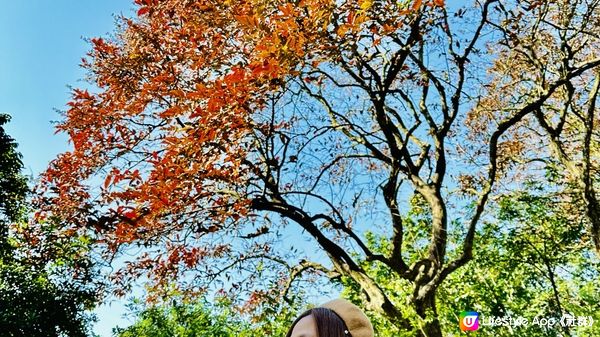 【香港好去處】 嘉道理農場｜睇花睇紅葉睇動物｜園內有多條行山路線選擇