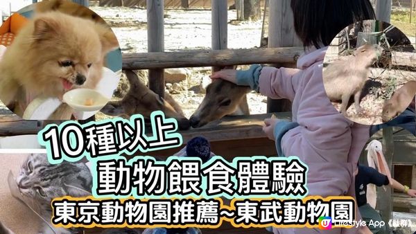 【日本東京】東京動物園推薦｜10種以上動物餵食體驗｜水豚君｜騎小馬｜白老虎餵食｜草泥馬餵食｜可愛爆表｜東武動物園｜東京近郊親子遊推薦｜tokyozoo｜tobuzoo