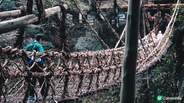 【德島】遊祖谷蔓橋大步危秘境 住進秘境溫泉旅館