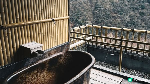 【德島】遊祖谷蔓橋大步危秘境 住進秘境溫泉旅館