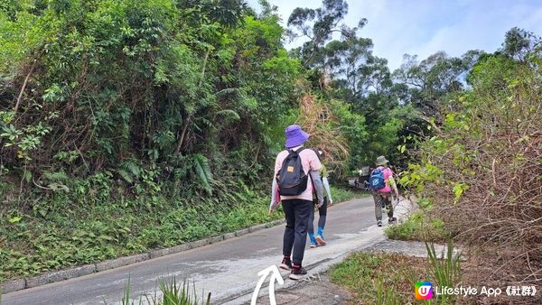 《鶴藪道至大埔頭行山篇》石坳山、九龍坑山、玉秀峰