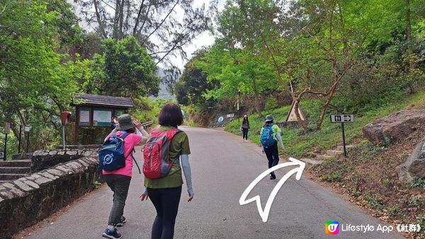 《鶴藪道至大埔頭行山篇》石坳山、九龍坑山、玉秀峰