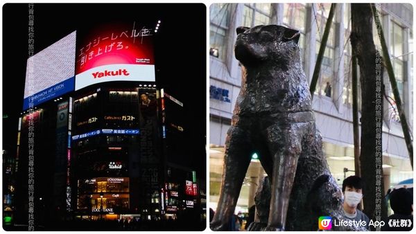 2023 東京「Shibuya SKY」 360 度飽覽東京夜景