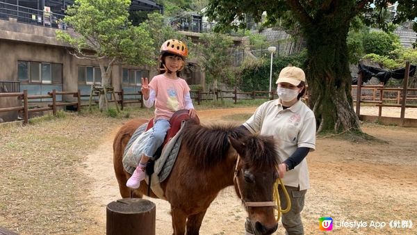 #動物園騎馬時間表（最更新） #兩歲就玩得 #沖繩兒童動物園