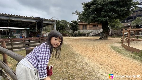 #動物園騎馬時間表（最更新） #兩歲就玩得 #沖繩兒童動物園