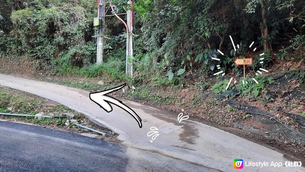 【大埔梧桐寨村至荃錦公路川龍村行山篇】梧桐寨瀑布(井底瀑/中瀑/彩虹瀑/主瀑/散髮瀑/玉女瀑)、大帽山、妙高台