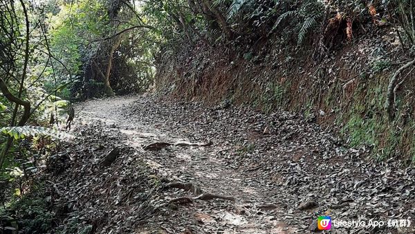 【大埔梧桐寨村至荃錦公路川龍村行山篇】梧桐寨瀑布(井底瀑/中瀑/彩虹瀑/主瀑/散髮瀑/玉女瀑)、大帽山、妙高台