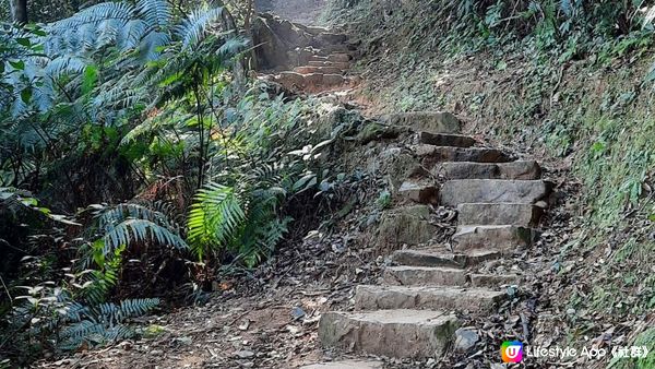 【大埔梧桐寨村至荃錦公路川龍村行山篇】梧桐寨瀑布(井底瀑/中瀑/彩虹瀑/主瀑/散髮瀑/玉女瀑)、大帽山、妙高台