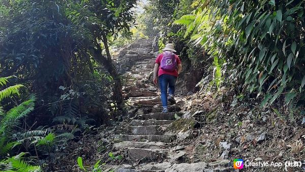 【大埔梧桐寨村至荃錦公路川龍村行山篇】梧桐寨瀑布(井底瀑/中瀑/彩虹瀑/主瀑/散髮瀑/玉女瀑)、大帽山、妙高台