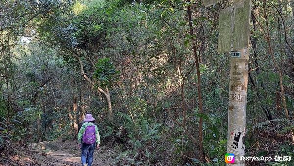 《井欄樹至小瀝源黃泥頭行山篇》黃麖仔、大藍湖、東洋山、兔仔許願石、尖尾峰、石芽背