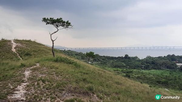 有山有海有靚景