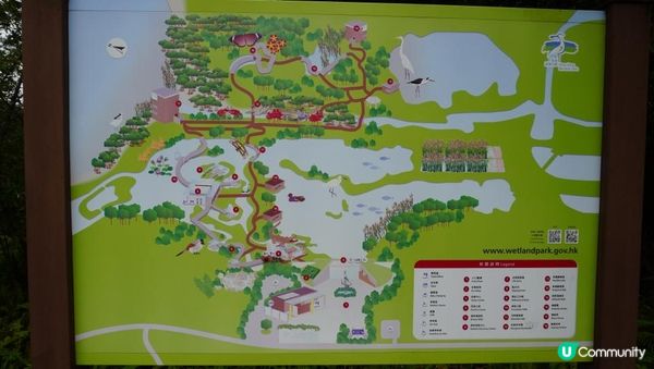 【天水圍悠記】美而小眾賞紅葉寶藏地｜天水圍濕地公園