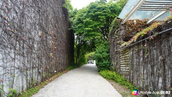 【天水圍悠記】美而小眾賞紅葉寶藏地｜天水圍濕地公園