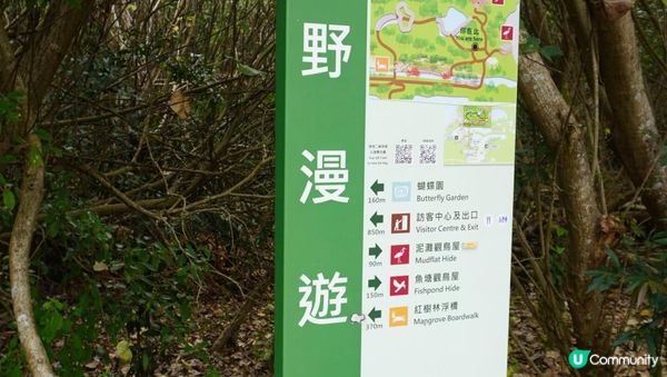 【天水圍悠記】美而小眾賞紅葉寶藏地｜天水圍濕地公園