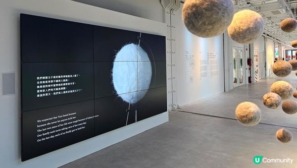 CHAT六廠夏季全新展覽