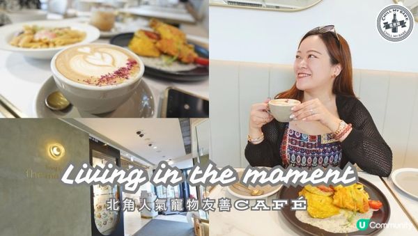 【#思思賢美食推介】北角人氣寵物友善Café「活 LITM」🐶一齊同毛孩Chill