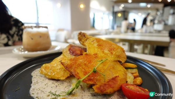 【#思思賢美食推介】北角人氣寵物友善Café「活 LITM」🐶一齊同毛孩Chill