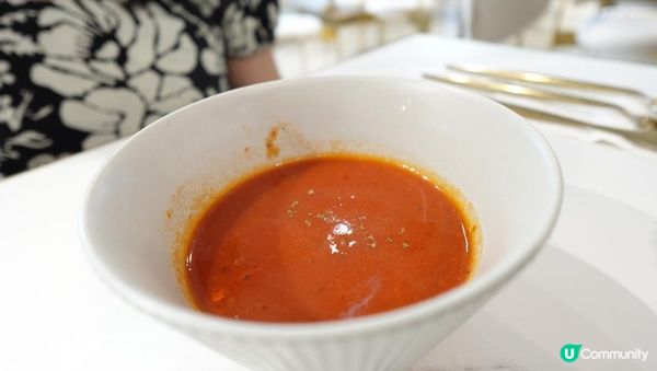 【#思思賢美食推介】北角人氣寵物友善Café「活 LITM」🐶一齊同毛孩Chill