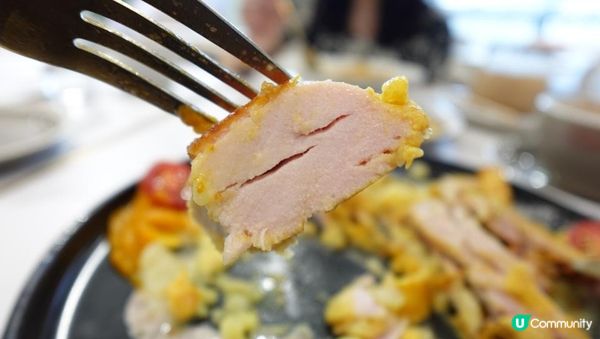 【#思思賢美食推介】北角人氣寵物友善Café「活 LITM」🐶一齊同毛孩Chill