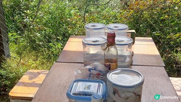 清酒DIY 西頁鹽田梓12月 就同朋友來個半日遊!!