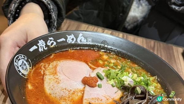 灣仔聖誕燈飾後完美晚餐！一虎拉麵暖笠笠救胃🥢🔥